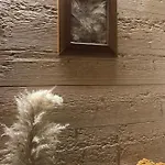 Apartamento Nid Douillet à La Louvée